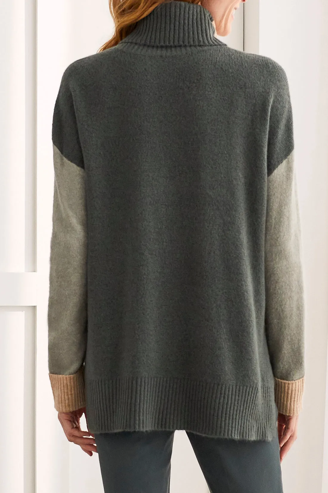 Color Block Turtleneck