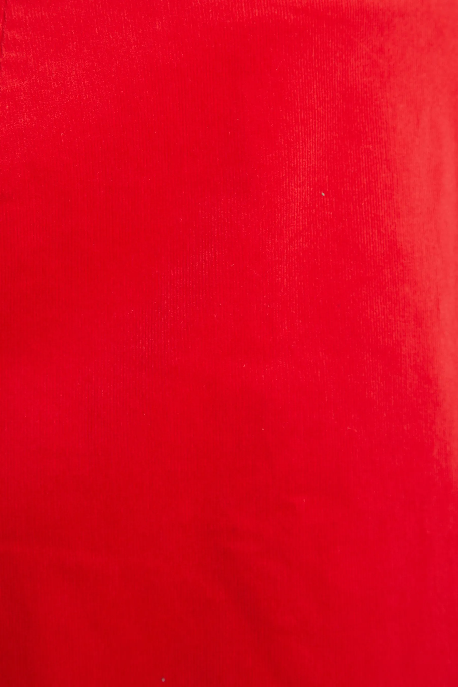 Dylan Baby Cord Mini Skirt - Red