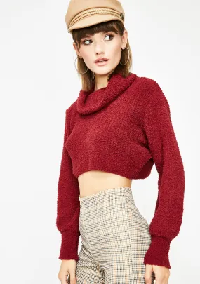 Likes For Likes Crop Sweater