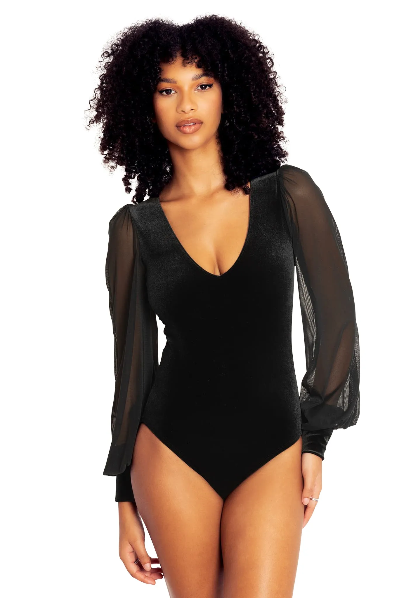 Sheer Excellence Bodysuit