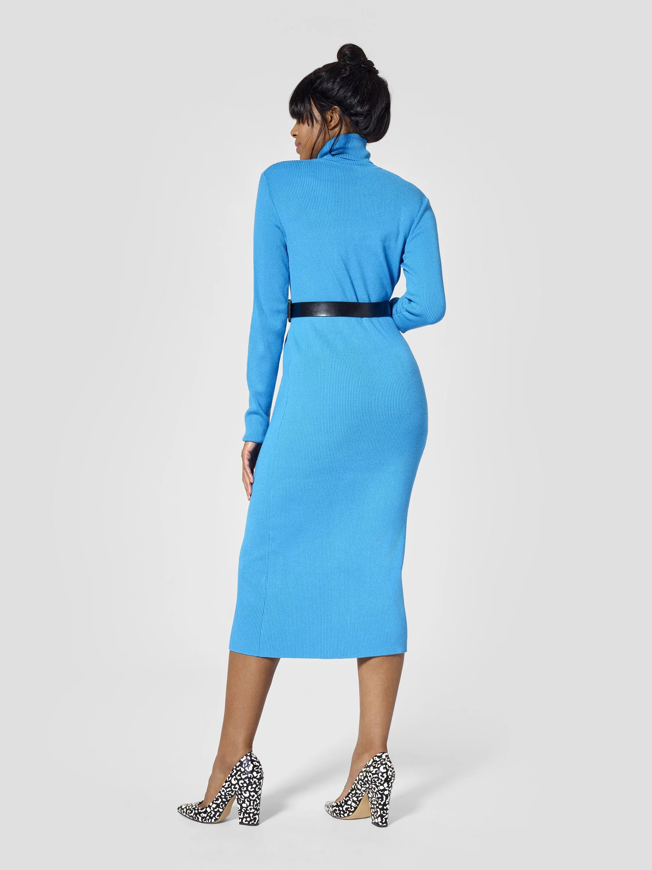 Turtleneck Tall Sweater Dress